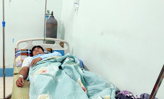 Bắc Kạn: Ăn nấm, 3 người nhập viện vì ngộ độc